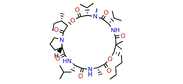 Kohamamide C